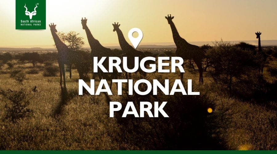 kruger_national_park